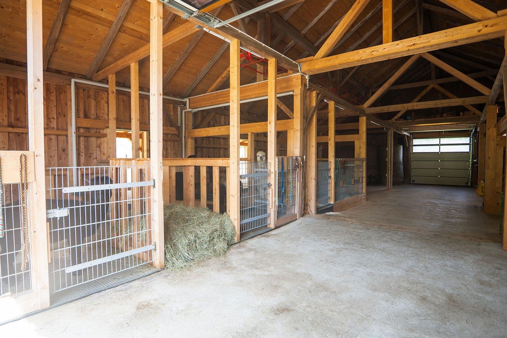 Predaj domu 279 m², pozemek 44.220 m², Waldkirchen, Bavorsko Predaj domu 279 m², pozemek 44.220 m², Waldkirchen, Bavorsko