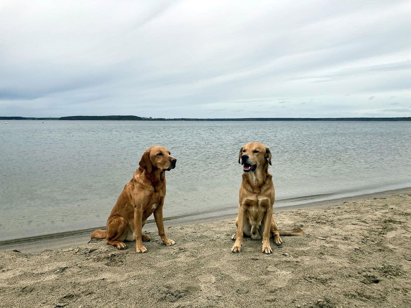 Predaj domu 104 m², pozemek 376 m², Strandweg 8, Göhren-Lebbin, Meklenbursko-Predpomoransko Predaj domu 104 m², pozemek 376 m², Strandweg 8, Göhren-Lebbin, Meklenbursko-Predpomoransko