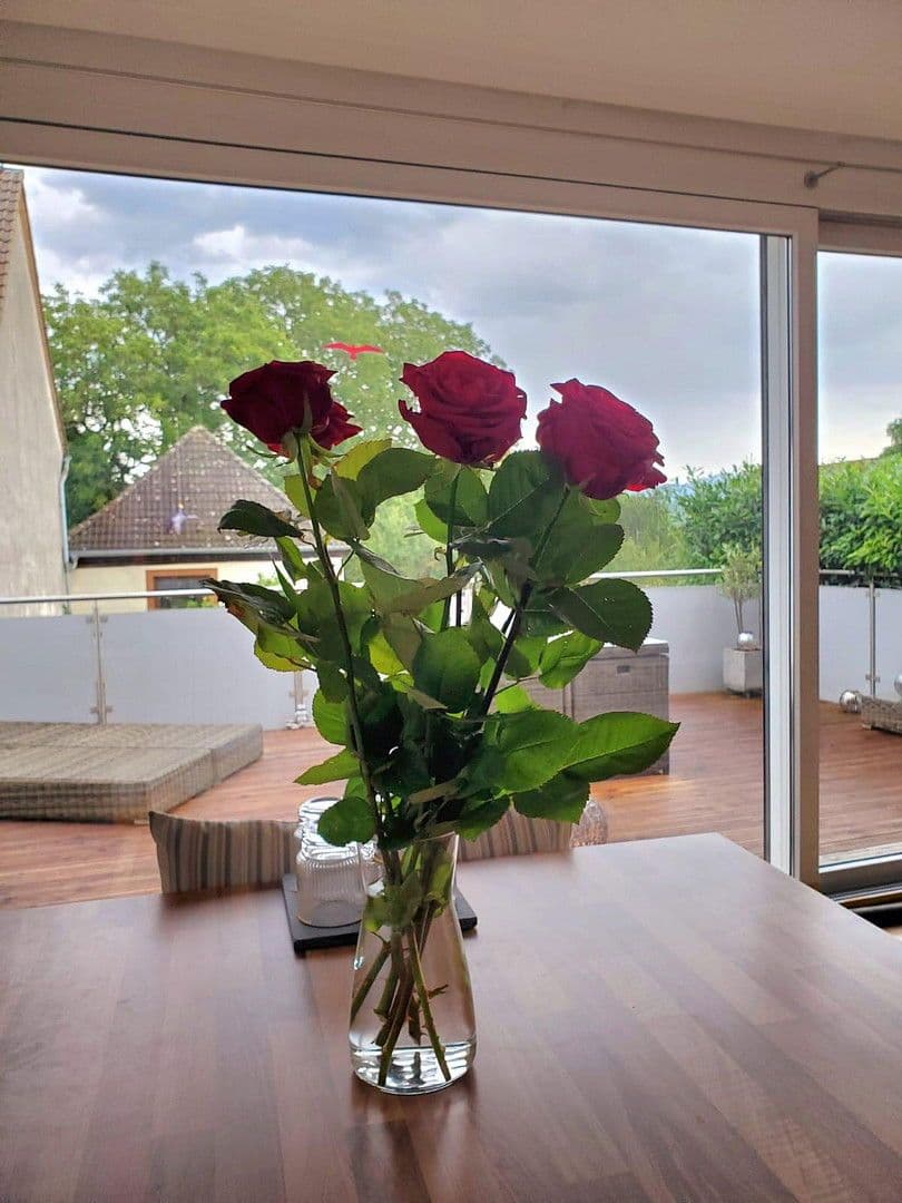 Predaj domu 146 m², pozemek 188 m², Schallstadt, Bádensko-Wurttembersko Predaj domu 146 m², pozemek 188 m², Schallstadt, Bádensko-Wurttembersko