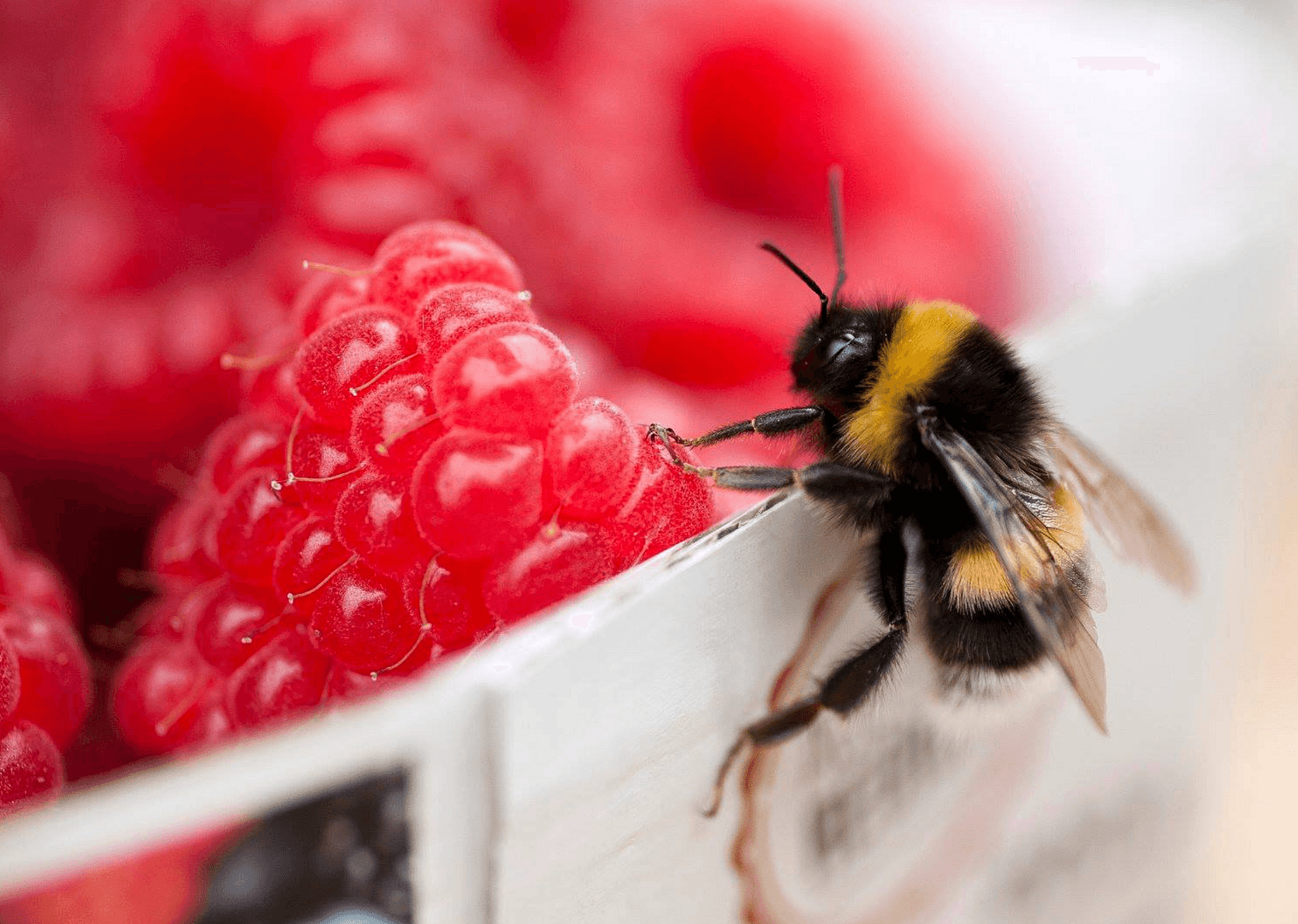 Prenájom bytu 3-izbový 83 m², Tostedt, Dolné Sasko Prenájom bytu 3-izbový 83 m², Tostedt, Dolné Sasko