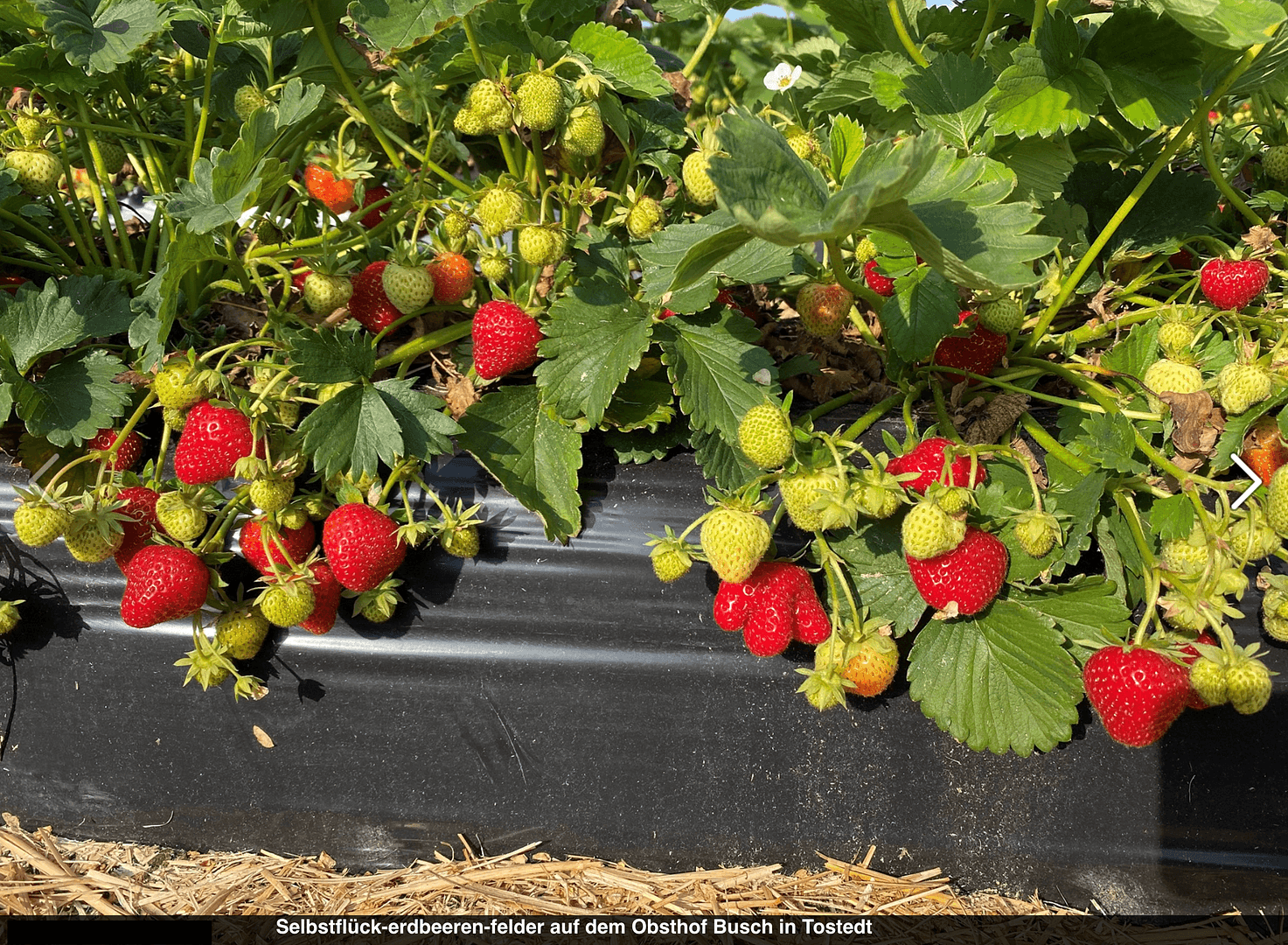 Prenájom bytu 3-izbový 83 m², Tostedt, Dolné Sasko Prenájom bytu 3-izbový 83 m², Tostedt, Dolné Sasko