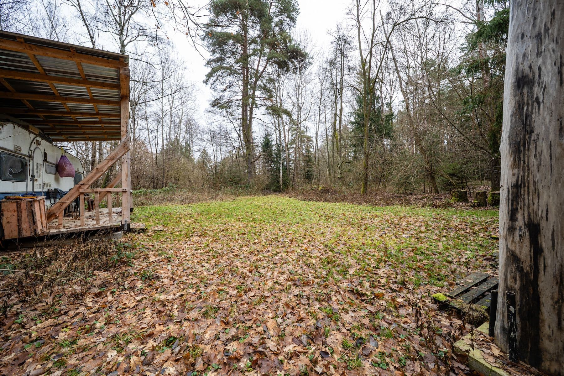 Predaj pozemku 2.304 m², Olešnice, Jihočeský kraj Predaj pozemku 2.304 m², Olešnice, Jihočeský kraj