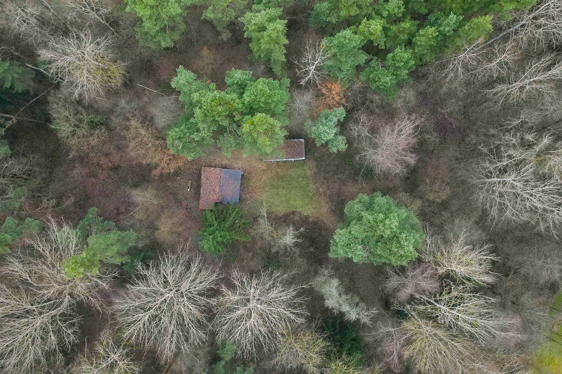 Predaj pozemku 2.304 m², Olešnice, Jihočeský kraj Predaj pozemku 2.304 m², Olešnice, Jihočeský kraj