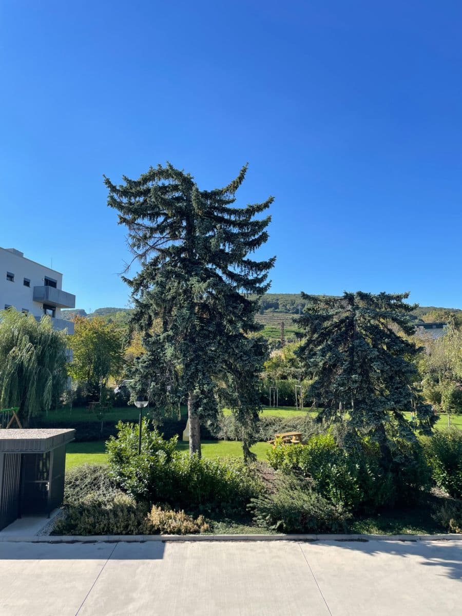 Prenájom bytu 2-izbový 55 m², Nové Mesto, Bratislavský kraj Prenájom bytu 2-izbový 55 m², Nové Mesto, Bratislavský kraj