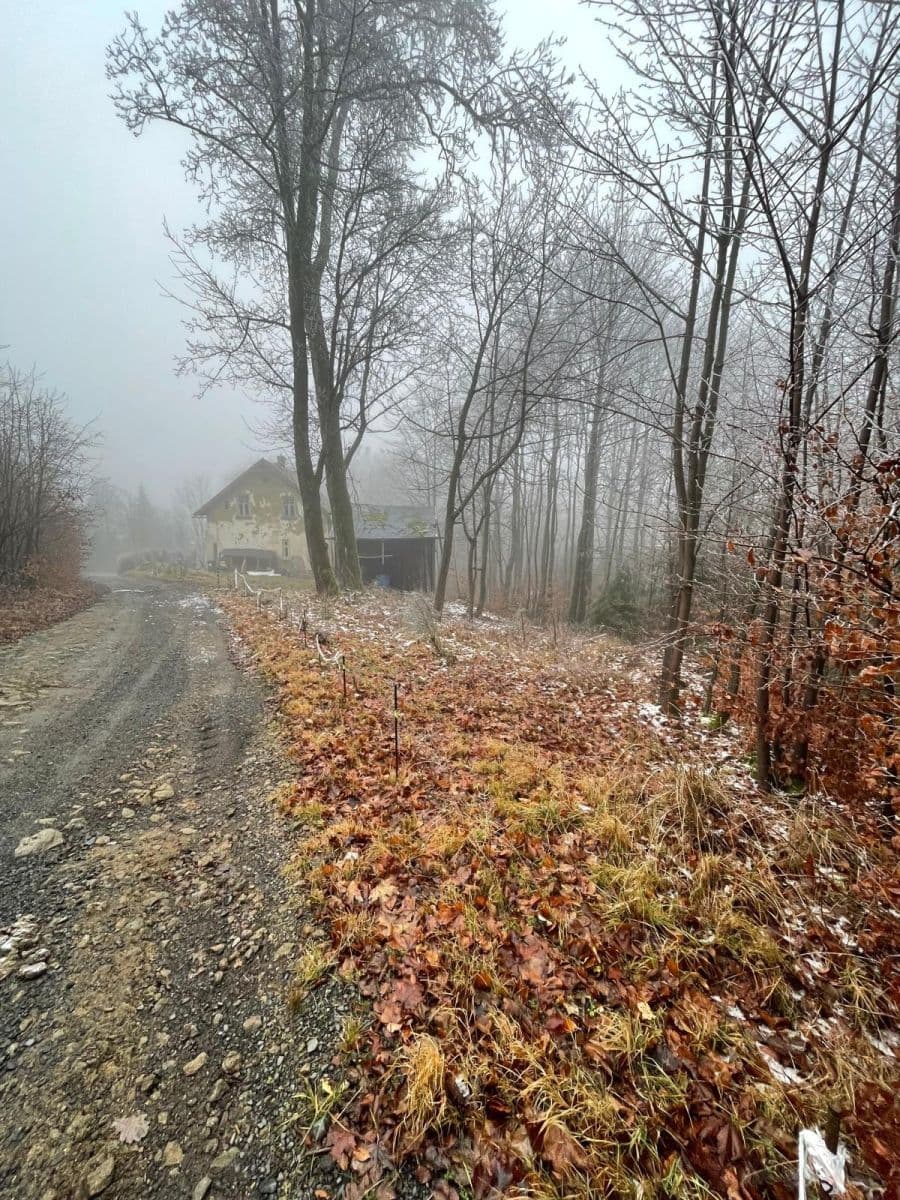 Predaj rekreačného objektu 111 m², pozemek 569 m², Mikulášovice, Ústecký kraj Predaj rekreačného objektu 111 m², pozemek 569 m², Mikulášovice, Ústecký kraj