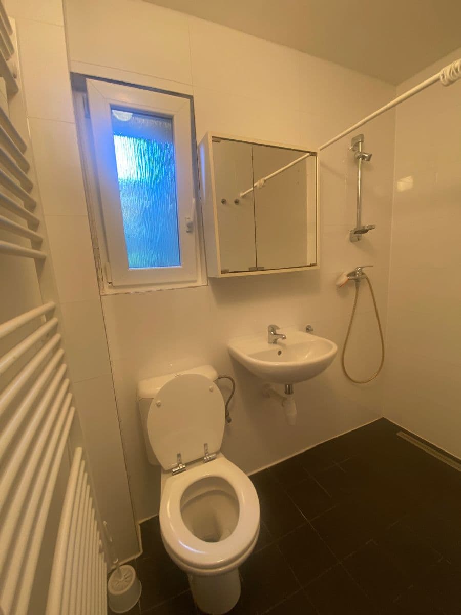 Prenájom bytu 2-izbový 68 m², Na Vysočanských vinicích, Praha, Praha Prenájom bytu 2-izbový 68 m², Na Vysočanských vinicích, Praha, Praha