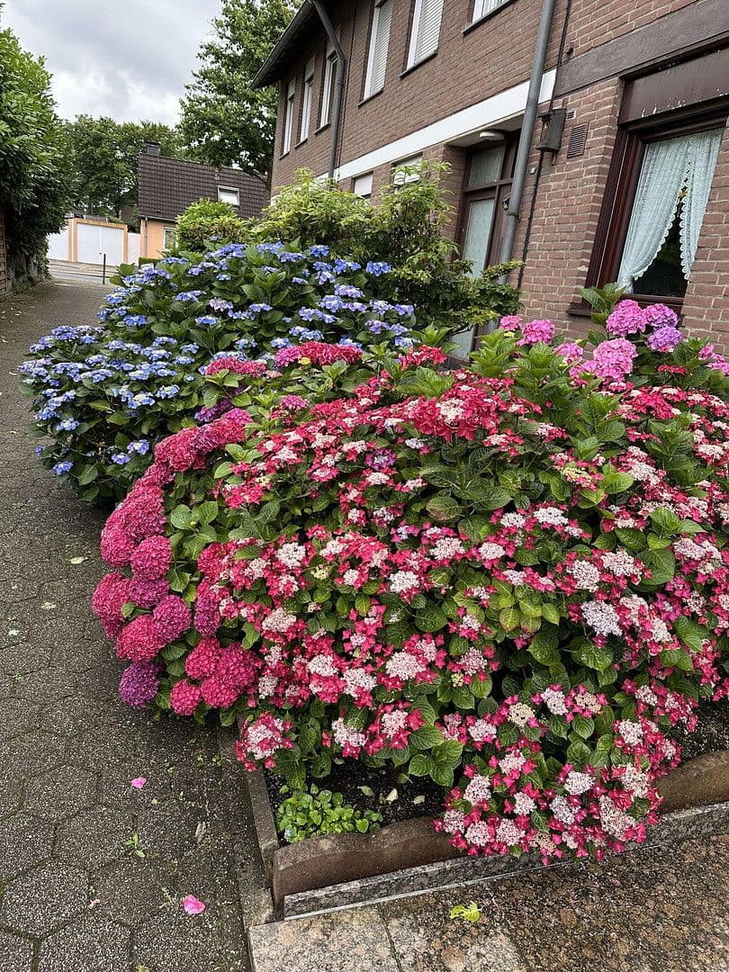 Predaj domu 145 m², pozemek 280 m², Essen, Severné Porýnie - Westfálsko Predaj domu 145 m², pozemek 280 m², Essen, Severné Porýnie - Westfálsko