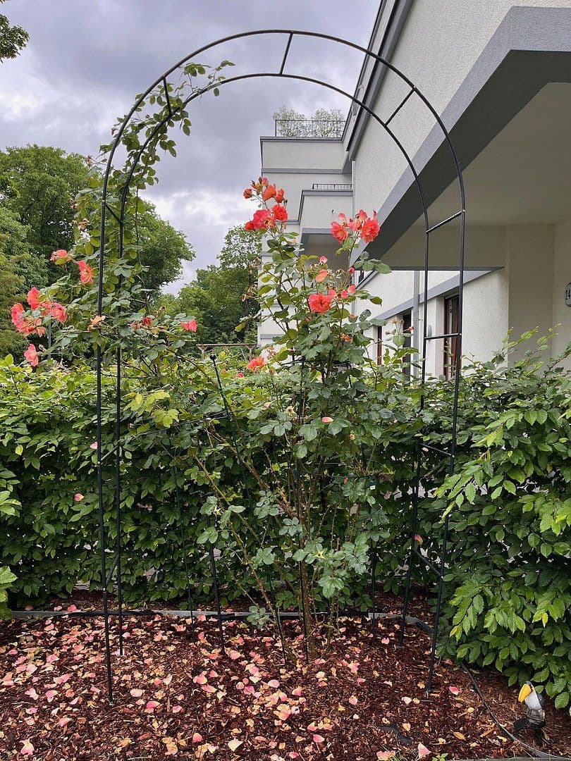 Prenájom bytu 3-izbový 100 m², Berlin, Berlín Prenájom bytu 3-izbový 100 m², Berlin, Berlín