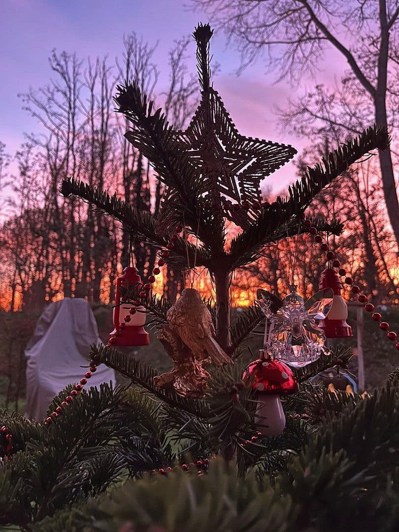 Prenájom bytu 3-izbový 100 m², Berlin, Berlín Prenájom bytu 3-izbový 100 m², Berlin, Berlín