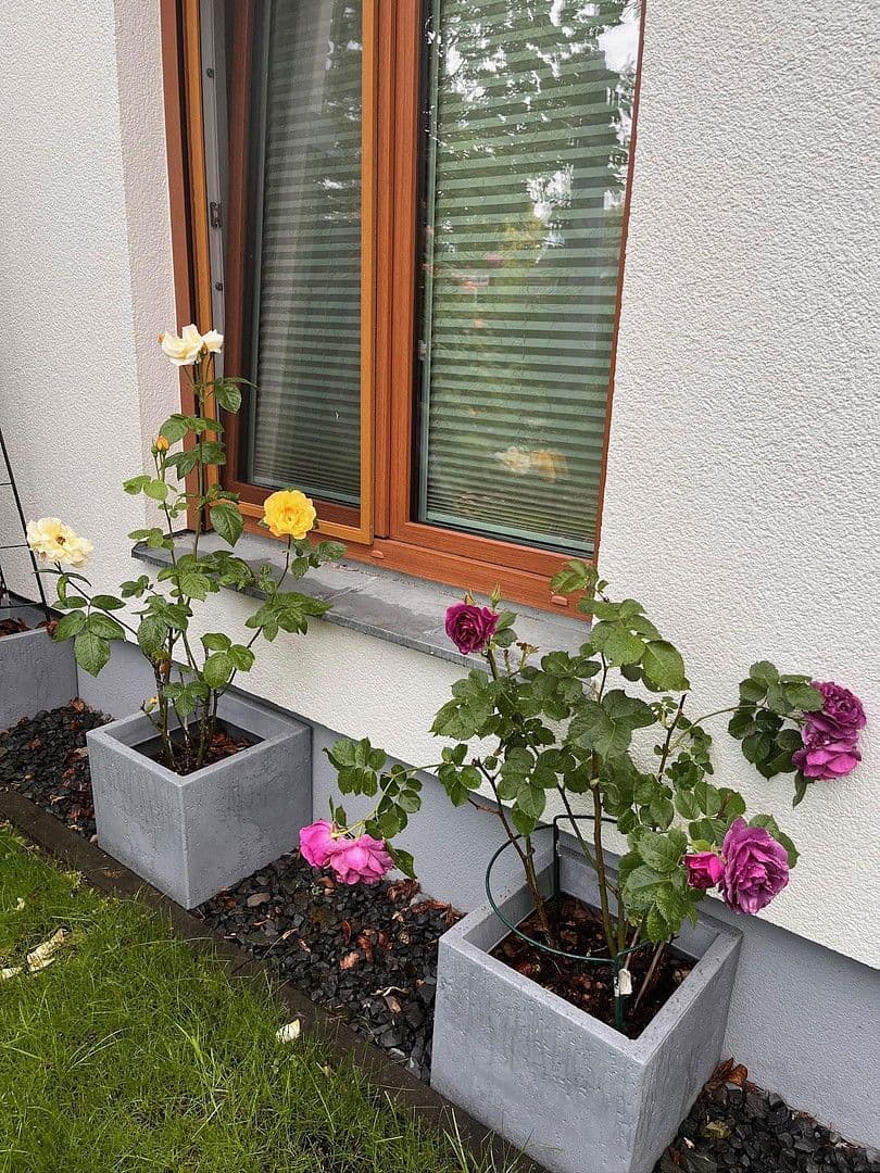 Predaj bytu 3-izbový 100 m², Berlin, Berlín Predaj bytu 3-izbový 100 m², Berlin, Berlín