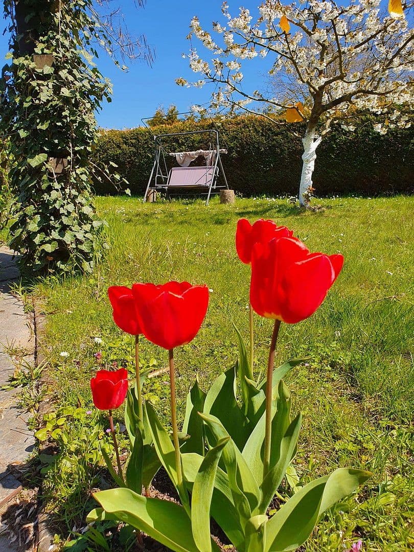 Predaj domu 45 m², pozemek 375 m², An der Wehme 12d, Havelsee, Brandenbursko Predaj domu 45 m², pozemek 375 m², An der Wehme 12d, Havelsee, Brandenbursko