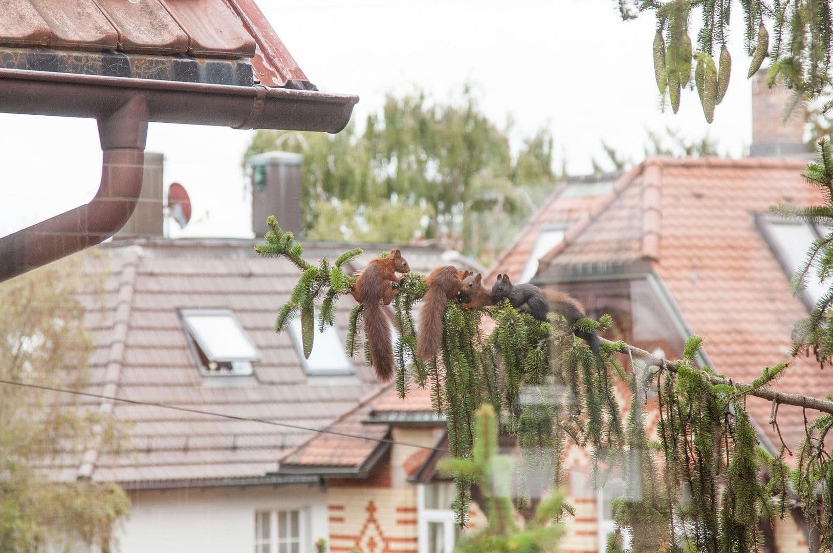 Prenájom kancelárie 19 m², Stuttgart, Bádensko-Wurttembersko Prenájom kancelárie 19 m², Stuttgart, Bádensko-Wurttembersko