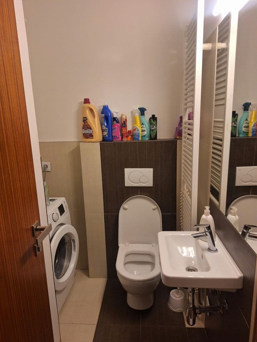 Prenájom bytu 4-izbový 20 m², Kozí, Brno, Jihomoravský kraj Prenájom bytu 4-izbový 20 m², Kozí, Brno, Jihomoravský kraj