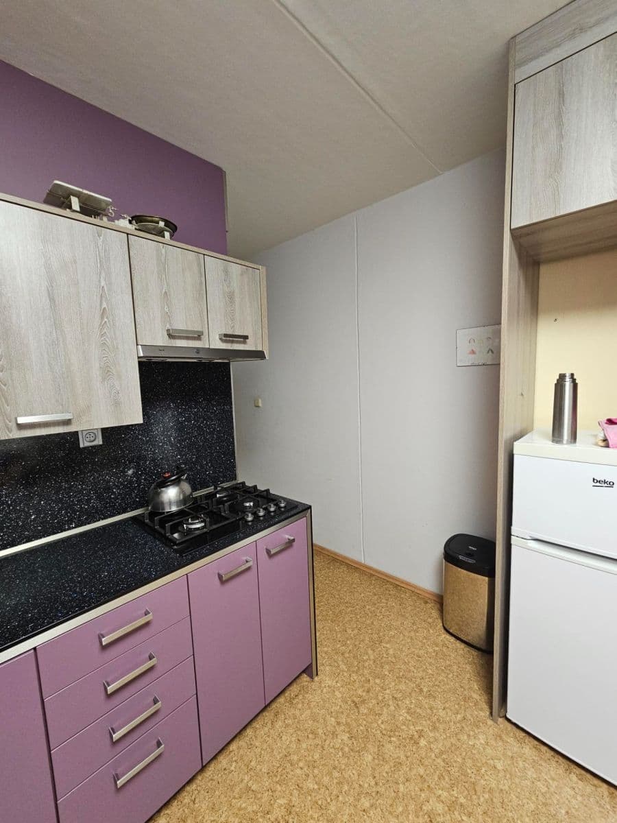 Prenájom bytu 3-izbový 71 m², Březhradská, Hradec Králové, Královéhradecký kraj Prenájom bytu 3-izbový 71 m², Březhradská, Hradec Králové, Královéhradecký kraj