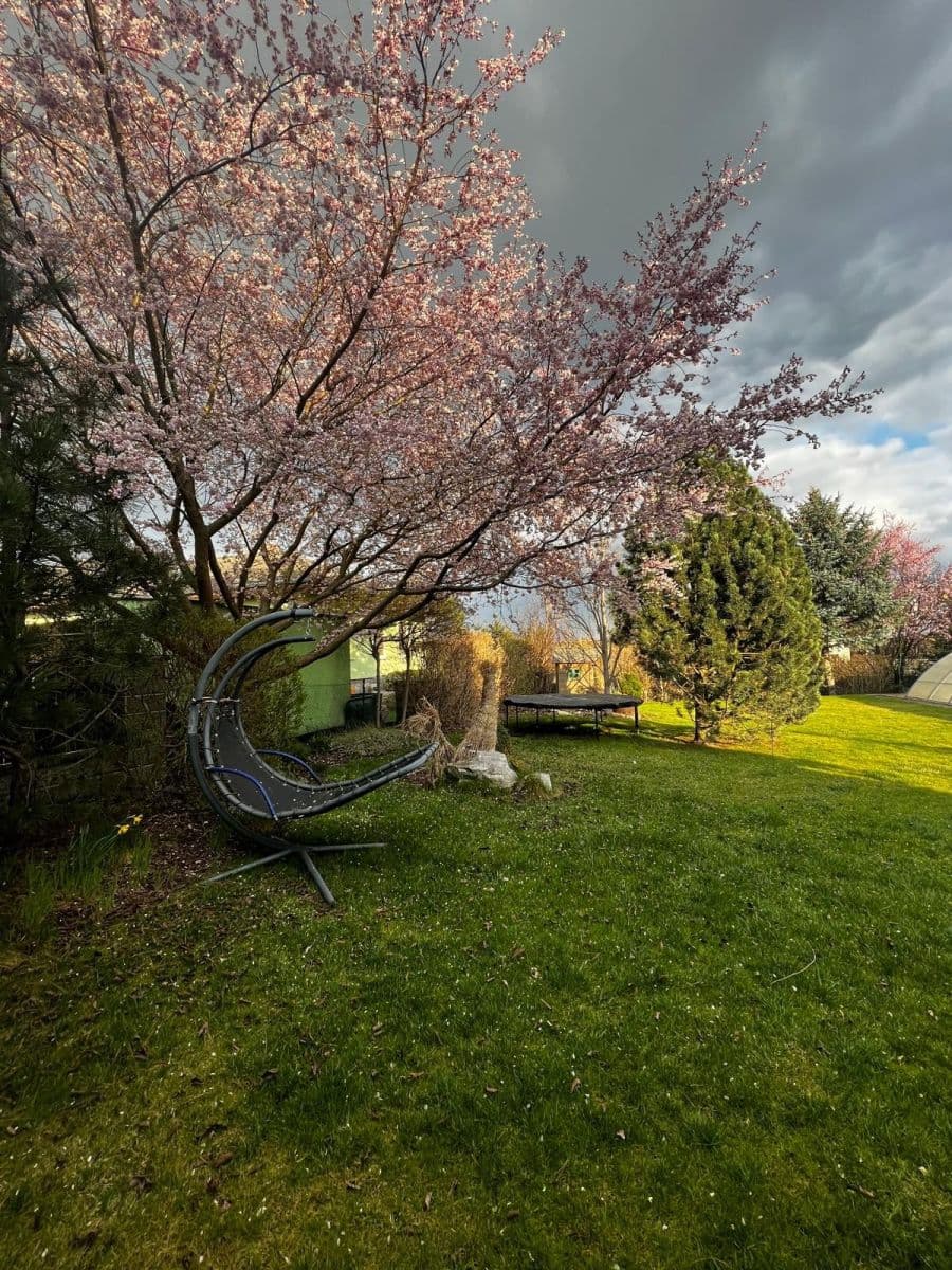 Prenájom domu 128 m², pozemek 1.200 m², V Pálce, Křenice, Středočeský kraj Prenájom domu 128 m², pozemek 1.200 m², V Pálce, Křenice, Středočeský kraj