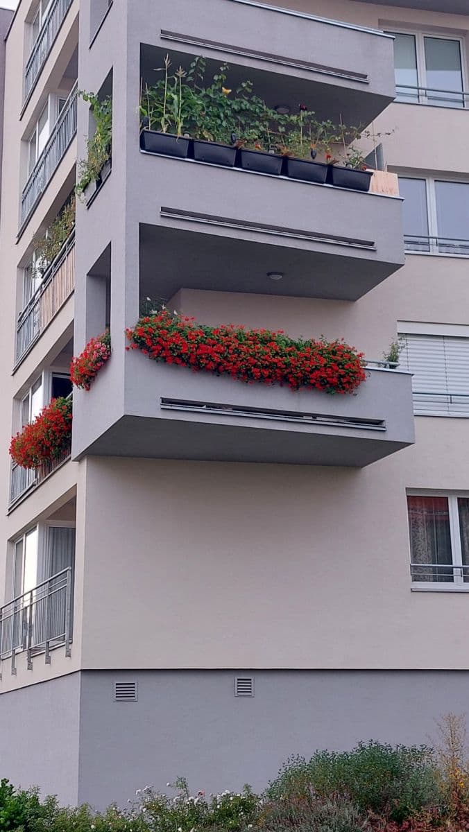 Predaj bytu 2-izbový 53 m², Toufarova, Praha, Praha Predaj bytu 2-izbový 53 m², Toufarova, Praha, Praha