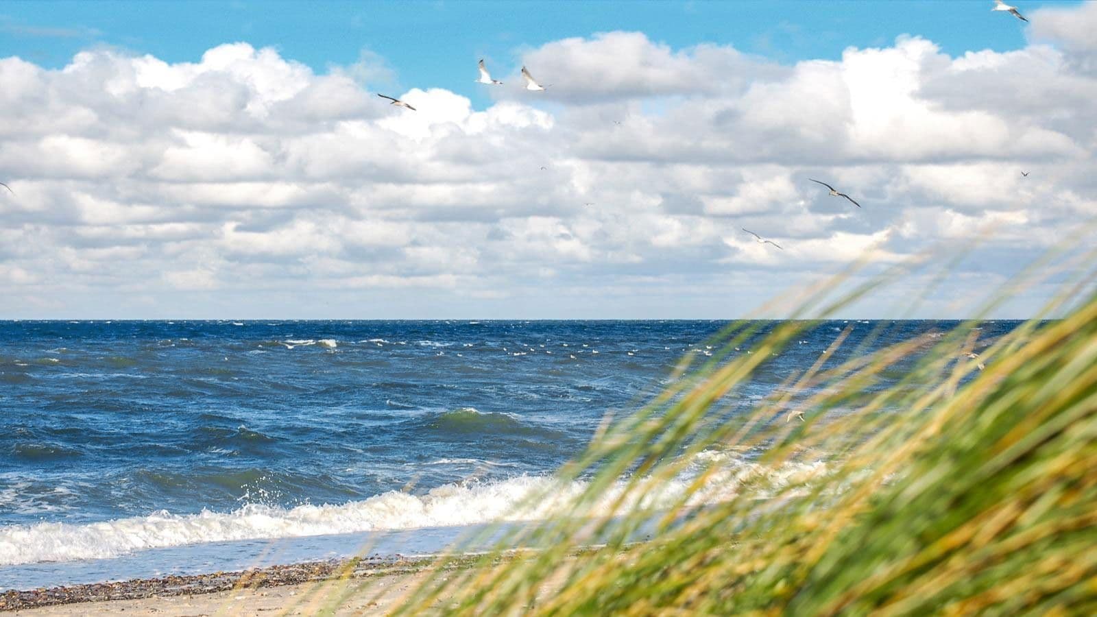 Predaj bytu 3-izbový 82 m², Rerik, Meklenbursko-Predpomoransko Predaj bytu 3-izbový 82 m², Rerik, Meklenbursko-Predpomoransko