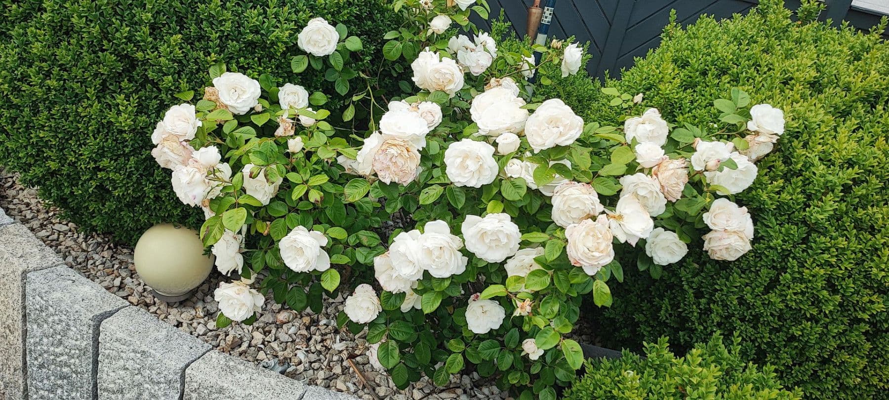 Predaj domu 340 m², pozemek 1.040 m², Schönberg (Holstein), Šlezvicko-Holštajnsko Predaj domu 340 m², pozemek 1.040 m², Schönberg (Holstein), Šlezvicko-Holštajnsko