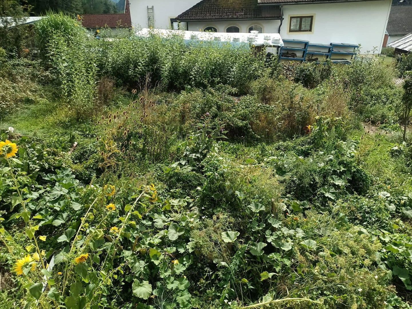 Predaj domu 93 m², pozemek 1.000 m², Steindorf, Korutánsko Predaj domu 93 m², pozemek 1.000 m², Steindorf, Korutánsko