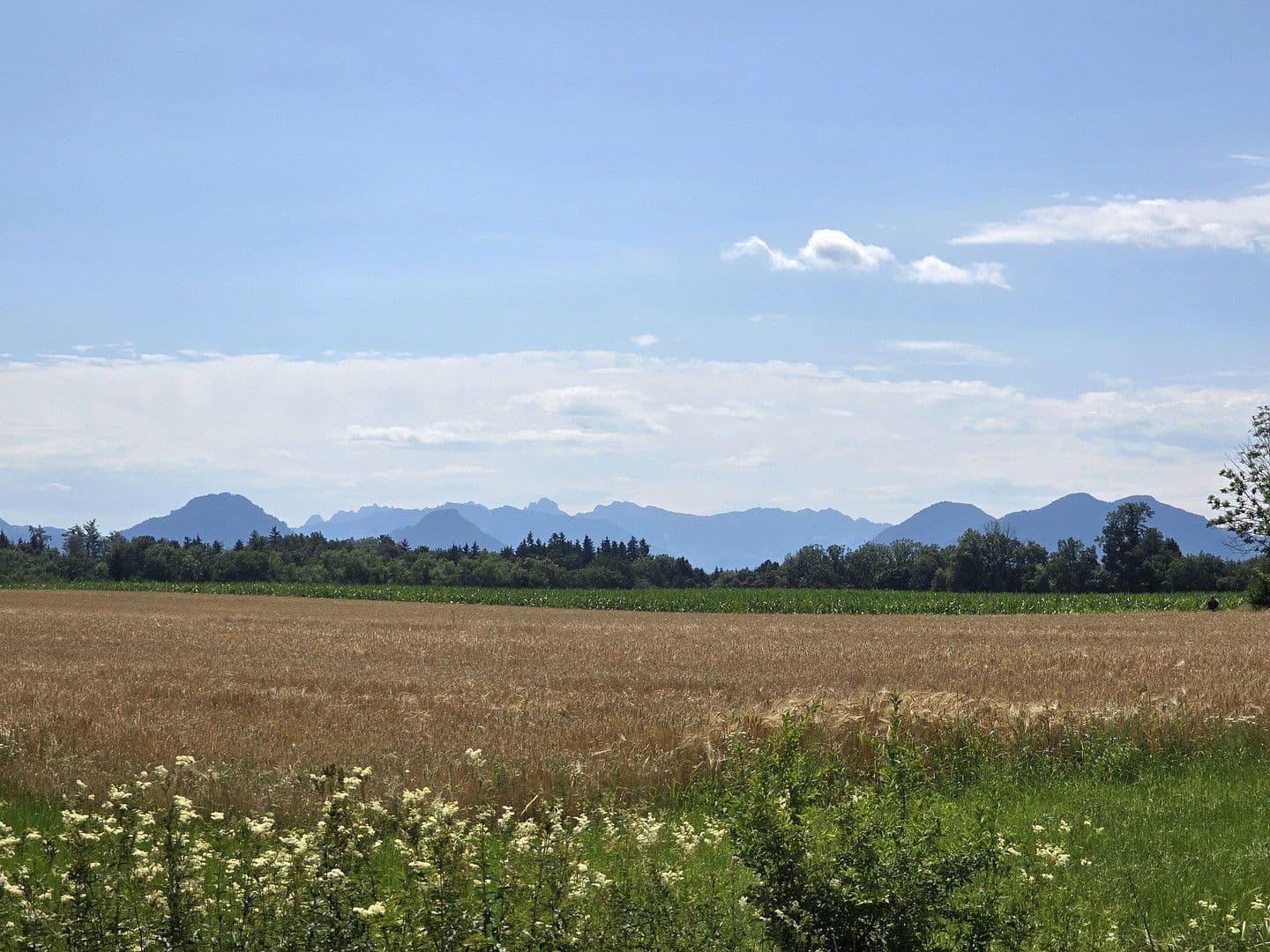 Predaj domu 146 m², pozemek 413 m², Bad Aibling, Bavorsko Predaj domu 146 m², pozemek 413 m², Bad Aibling, Bavorsko