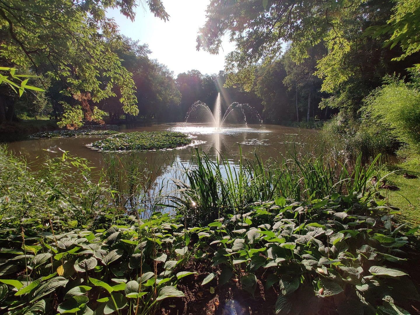 Predaj domu 146 m², pozemek 413 m², Bad Aibling, Bavorsko Predaj domu 146 m², pozemek 413 m², Bad Aibling, Bavorsko