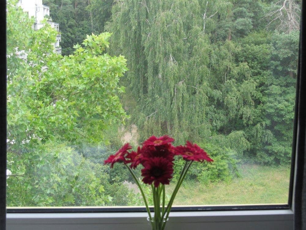 Prenájom bytu 2-izbový 48 m², Weidigweg 31, Darmstadt, Hesensko Prenájom bytu 2-izbový 48 m², Weidigweg 31, Darmstadt, Hesensko