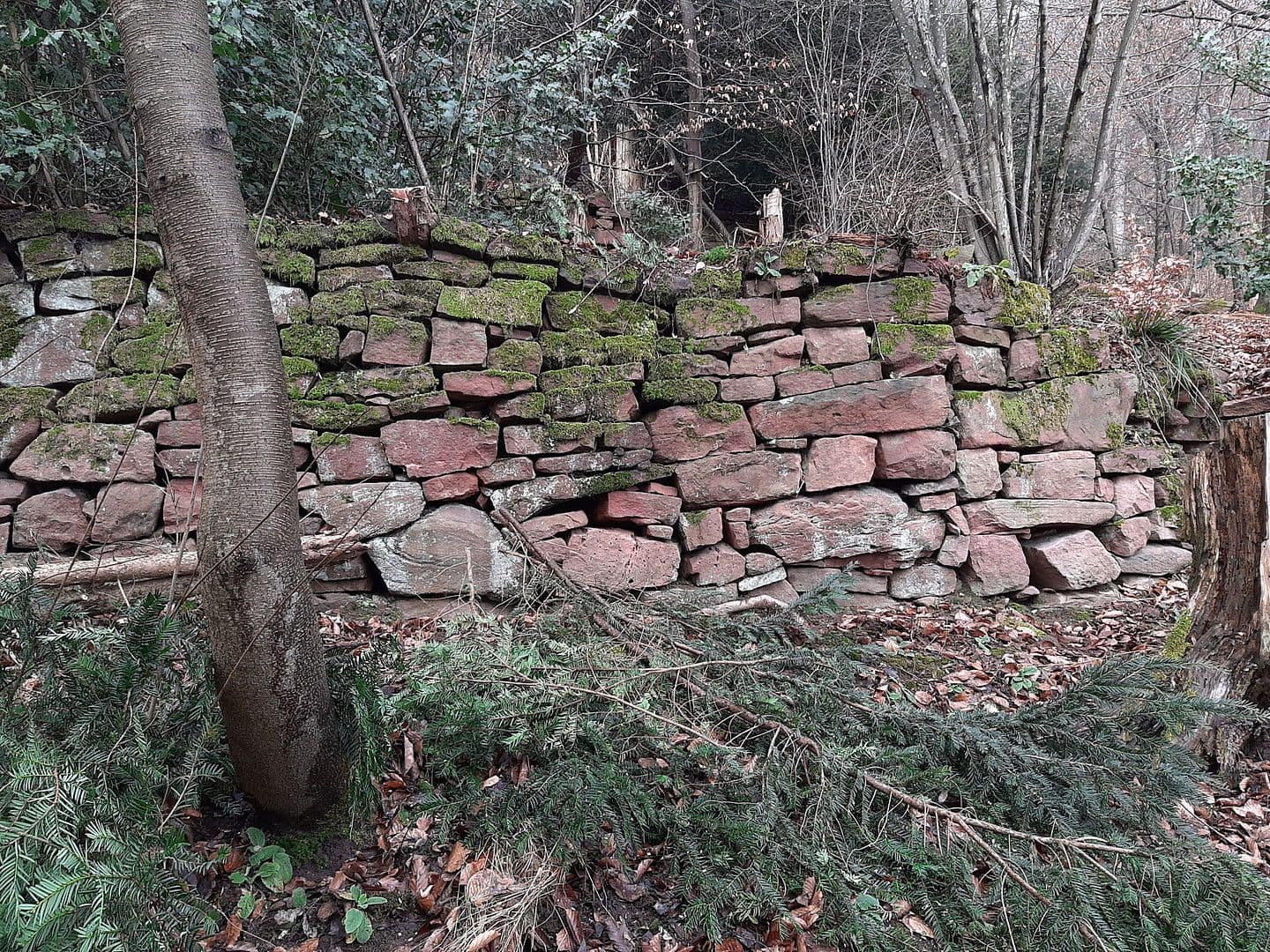 Predaj pozemku 968 m², In den Wingert 20, Neckargemünd, Bádensko-Wurttembersko Predaj pozemku 968 m², In den Wingert 20, Neckargemünd, Bádensko-Wurttembersko