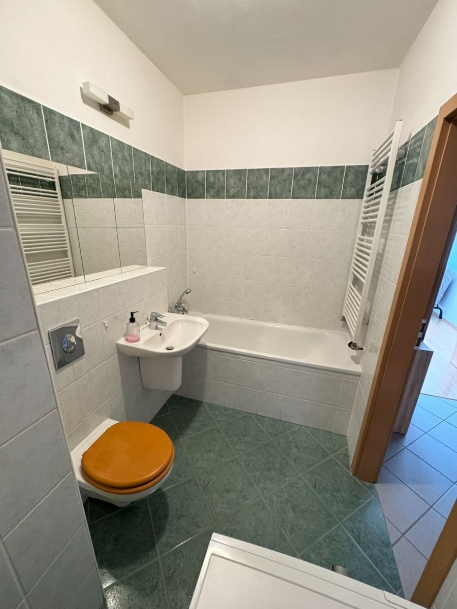 Prenájom bytu 1-izbový 46 m², Dusíkova, Brno, Jihomoravský kraj Prenájom bytu 1-izbový 46 m², Dusíkova, Brno, Jihomoravský kraj