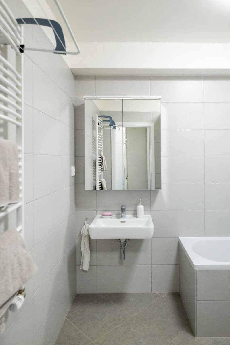 Prenájom bytu 1-izbový 47 m², Baarové, Praha, Praha Prenájom bytu 1-izbový 47 m², Baarové, Praha, Praha