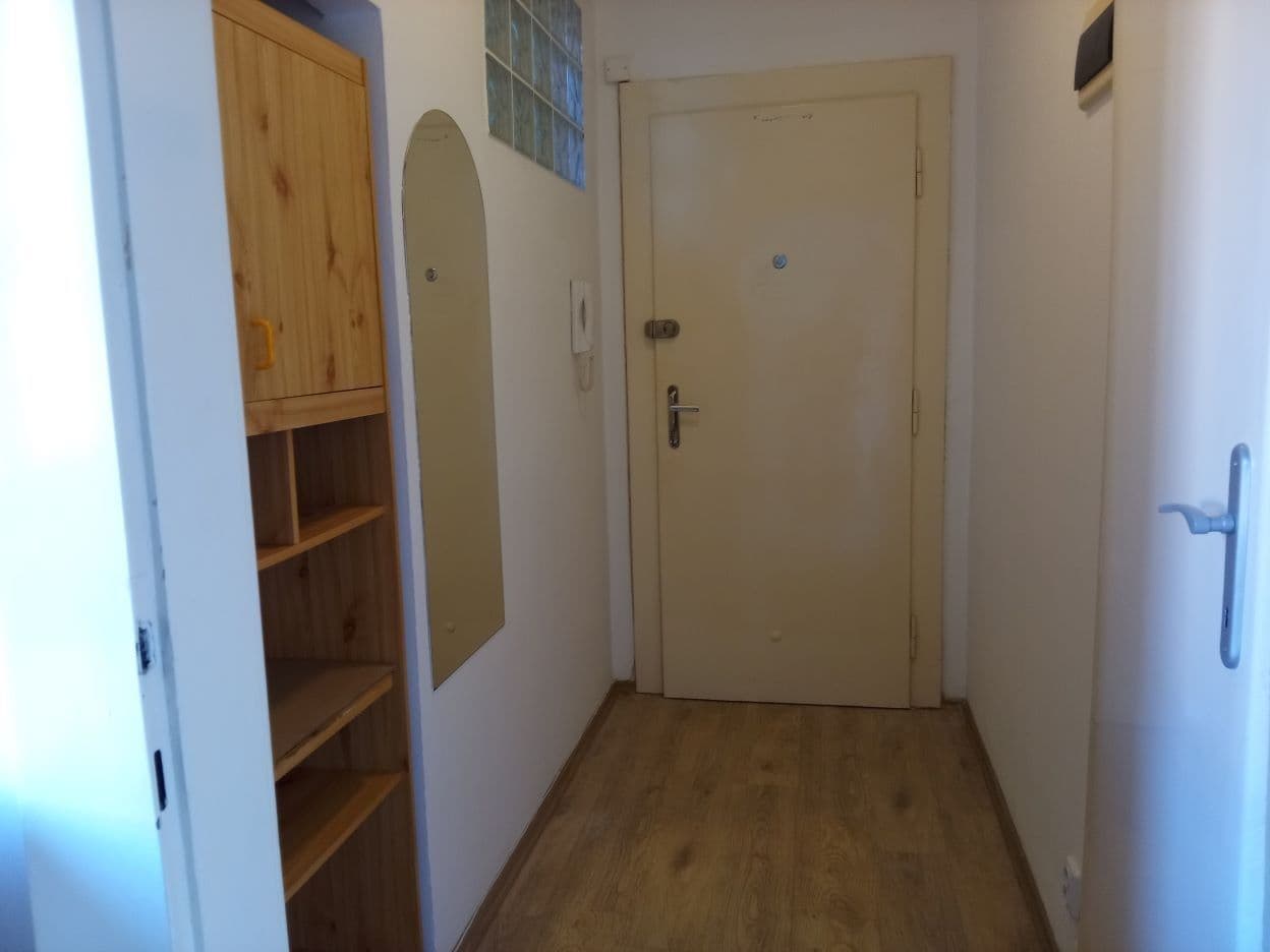 Prenájom bytu 1-izbový 42 m², Ke Strašnické, Praha, Praha Prenájom bytu 1-izbový 42 m², Ke Strašnické, Praha, Praha