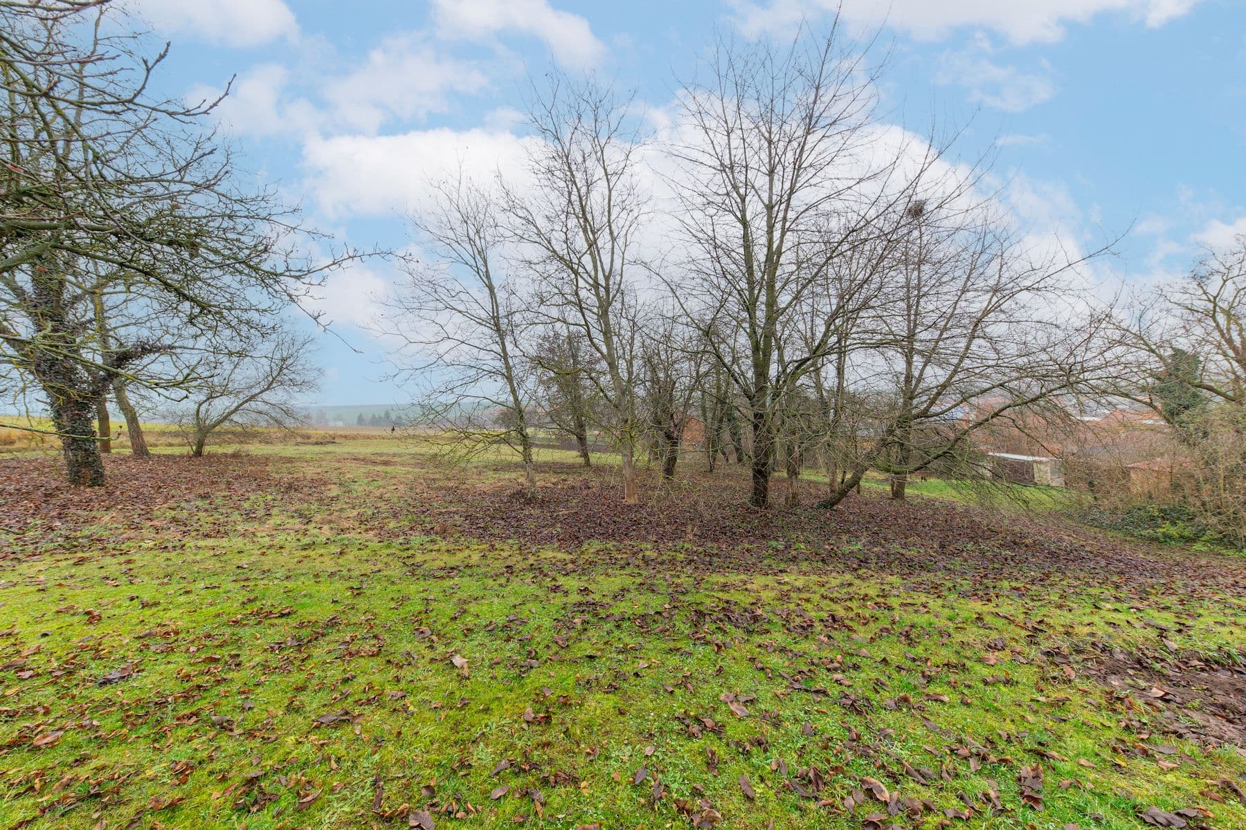 Predaj domu 150 m², pozemek 1.473 m², Skalka, Olomoucký kraj Predaj domu 150 m², pozemek 1.473 m², Skalka, Olomoucký kraj