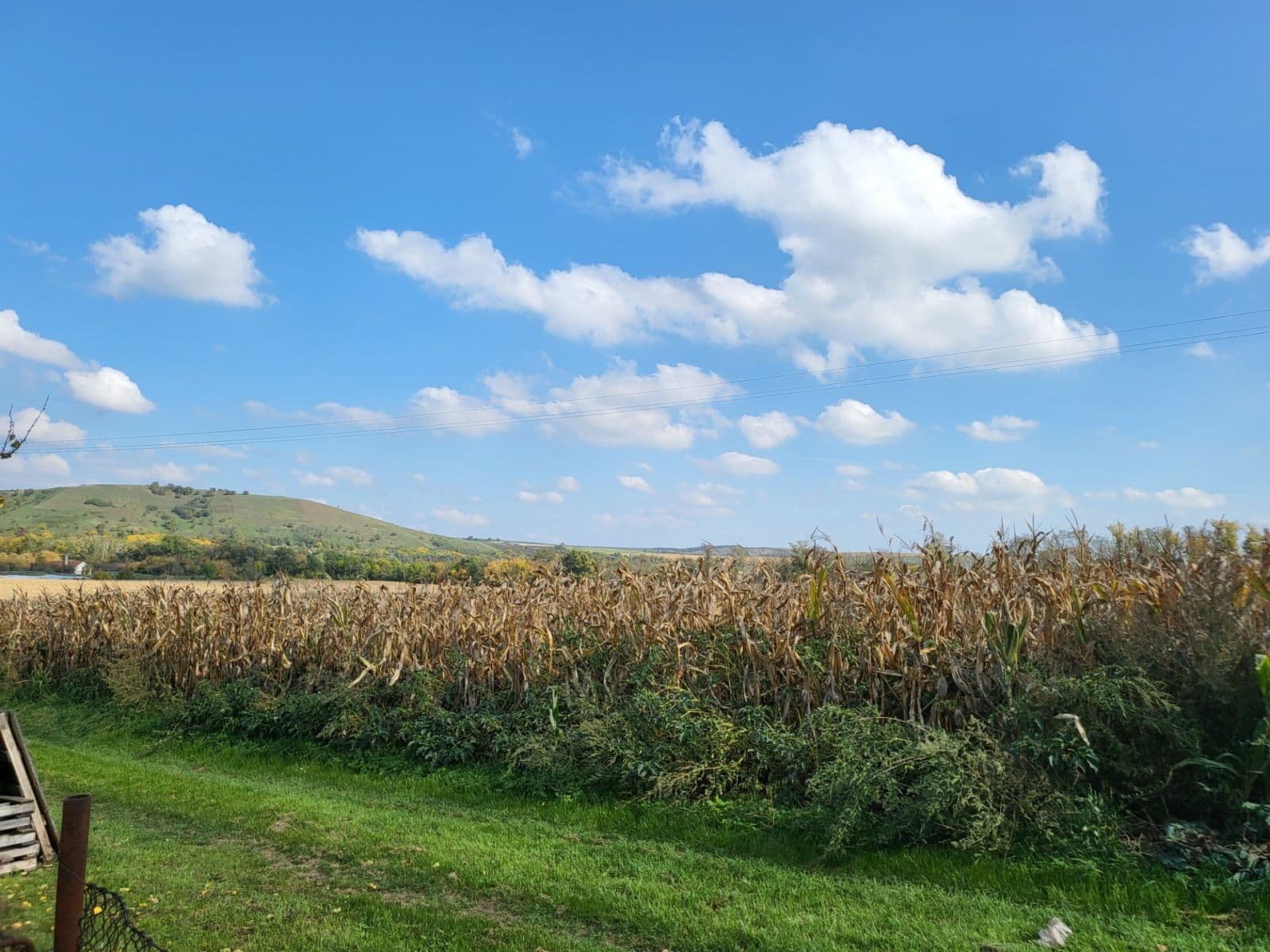 Predaj pozemku 506 m², Zadní, Pouzdřany, Jihomoravský kraj Predaj pozemku 506 m², Zadní, Pouzdřany, Jihomoravský kraj