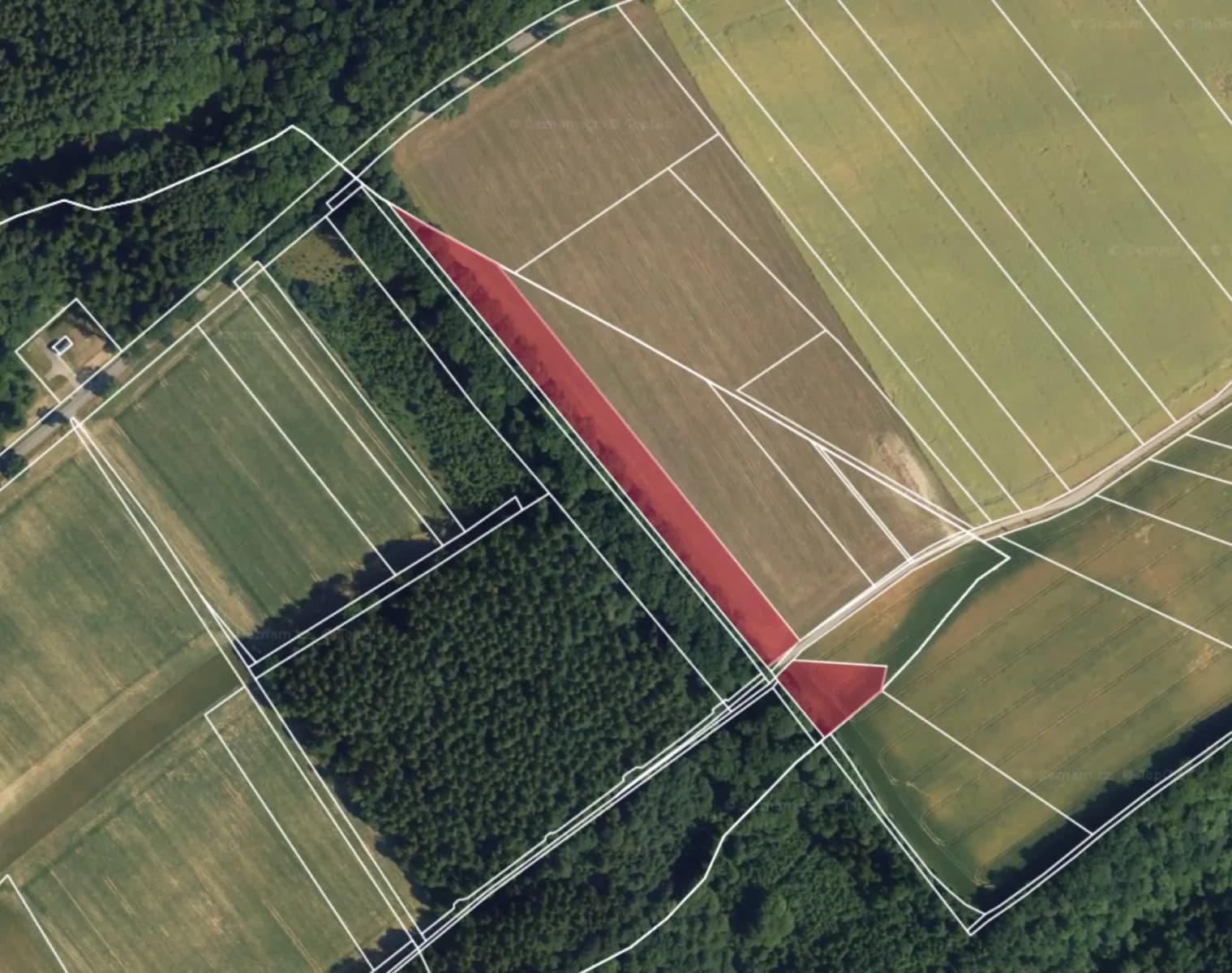 Predaj pozemku 11.401 m², Letohrad, Pardubický kraj Predaj pozemku 11.401 m², Letohrad, Pardubický kraj