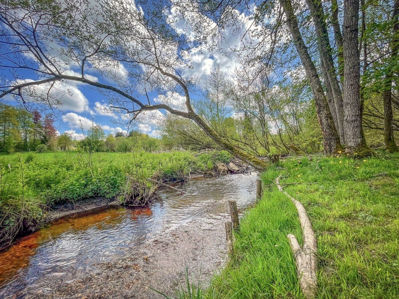 Predaj domu 130 m², pozemek 2.678 m², Manthalstr. 2, Berg, Bavorsko Predaj domu 130 m², pozemek 2.678 m², Manthalstr. 2, Berg, Bavorsko