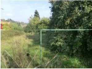 Predaj domu 160 m², pozemek 831 m², Hauptstraße 22, Leiben, Dolné Rakúsko Predaj domu 160 m², pozemek 831 m², Hauptstraße 22, Leiben, Dolné Rakúsko