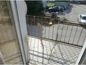 Predaj domu 160 m², pozemek 831 m², Hauptstraße 22, Leiben, Dolné Rakúsko Predaj domu 160 m², pozemek 831 m², Hauptstraße 22, Leiben, Dolné Rakúsko