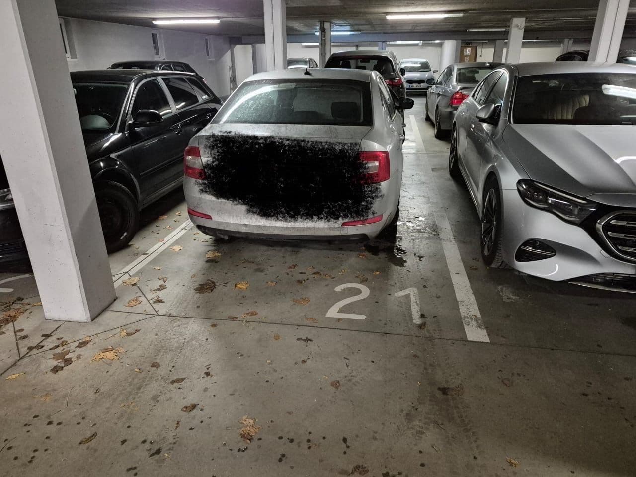 Prenájom bytu 4-izbový 118 m², Dusíkova, Brno, Jihomoravský kraj Prenájom bytu 4-izbový 118 m², Dusíkova, Brno, Jihomoravský kraj