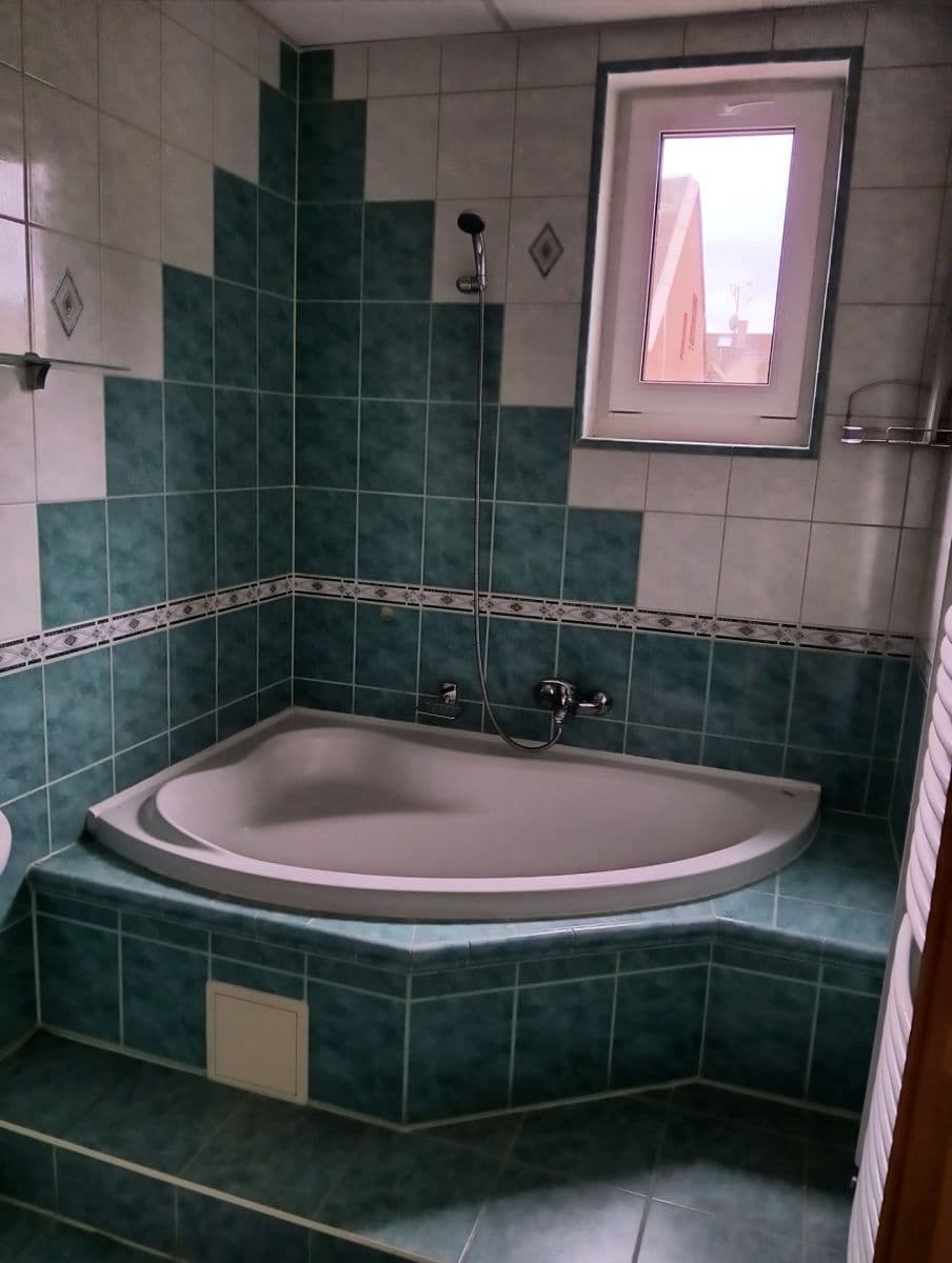 Prenájom domu 190 m², pozemek 612 m², Karla Čapka, Lom, Ústecký kraj Prenájom domu 190 m², pozemek 612 m², Karla Čapka, Lom, Ústecký kraj