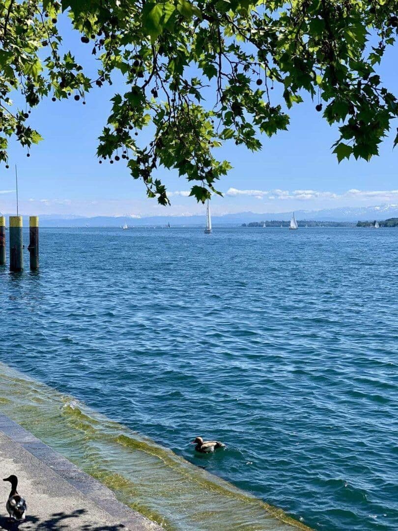 Predaj bytu 2-izbový 72 m², Christophstraße 8, Überlingen, Bádensko-Wurttembersko Predaj bytu 2-izbový 72 m², Christophstraße 8, Überlingen, Bádensko-Wurttembersko