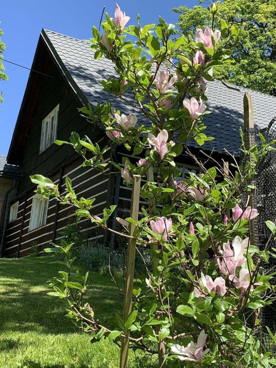 Prenájom rekreačného objektu, Sedloňov, Královéhradecký kraj Prenájom rekreačného objektu, Sedloňov, Královéhradecký kraj