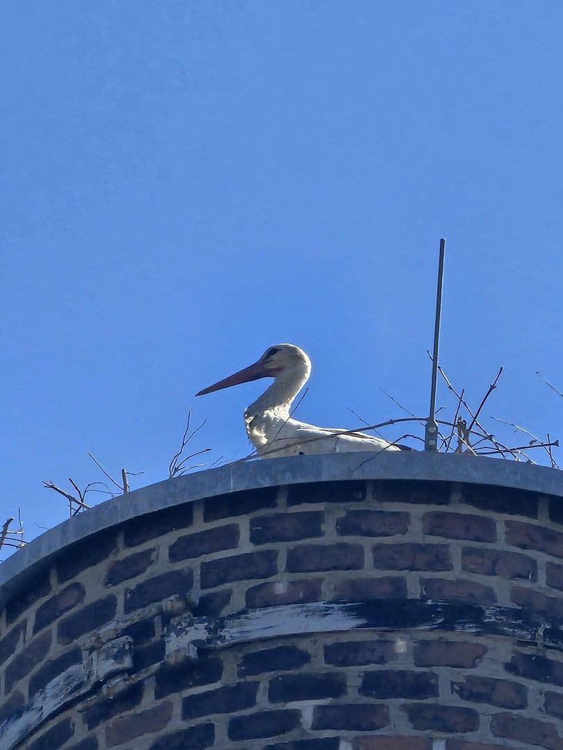 Prenájom bytu 4-izbový 135 m², Kitscherstr, 10, Crimmitschau, Sasko Prenájom bytu 4-izbový 135 m², Kitscherstr, 10, Crimmitschau, Sasko