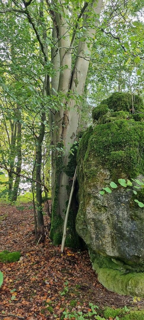 Predaj domu 96 m², pozemek 1.000 m², Waischenfeld, Bavorsko Predaj domu 96 m², pozemek 1.000 m², Waischenfeld, Bavorsko