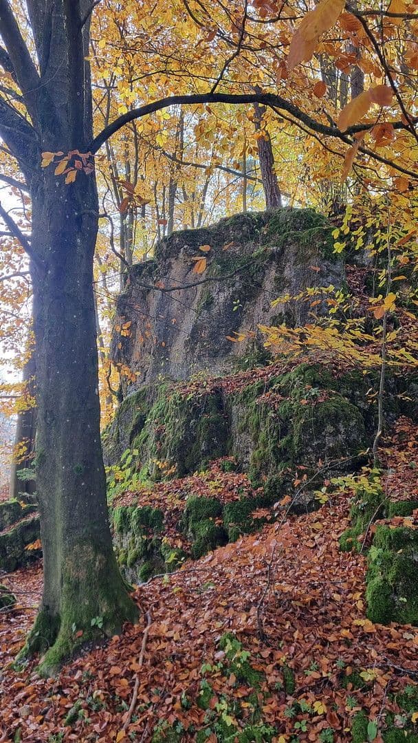 Predaj domu 96 m², pozemek 1.000 m², Waischenfeld, Bavorsko Predaj domu 96 m², pozemek 1.000 m², Waischenfeld, Bavorsko