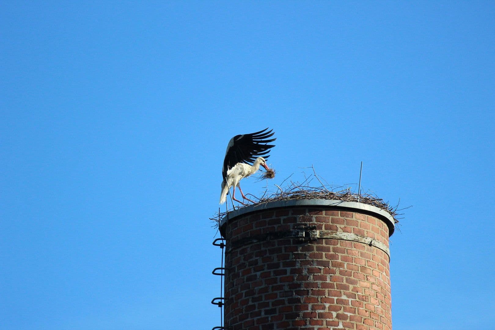 Prenájom bytu 4-izbový 155 m², Kitscherstr. 10, Crimmitschau, Sasko Prenájom bytu 4-izbový 155 m², Kitscherstr. 10, Crimmitschau, Sasko