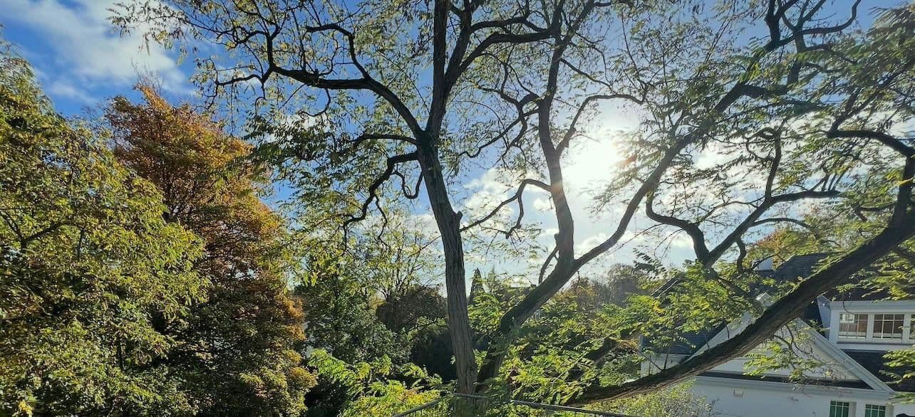 Prenájom kancelárie 75 m², Robert-Heuser-Str. 15, Köln, Severné Porýnie - Westfálsko Prenájom kancelárie 75 m², Robert-Heuser-Str. 15, Köln, Severné Porýnie - Westfálsko