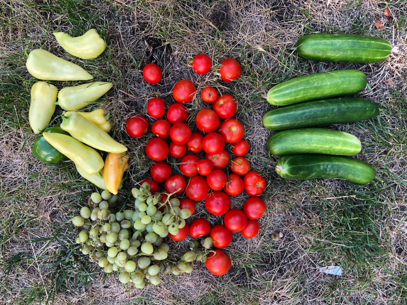 Predaj bytu 1-izbový 55 m², Kodaňská, Praha, Praha Predaj bytu 1-izbový 55 m², Kodaňská, Praha, Praha