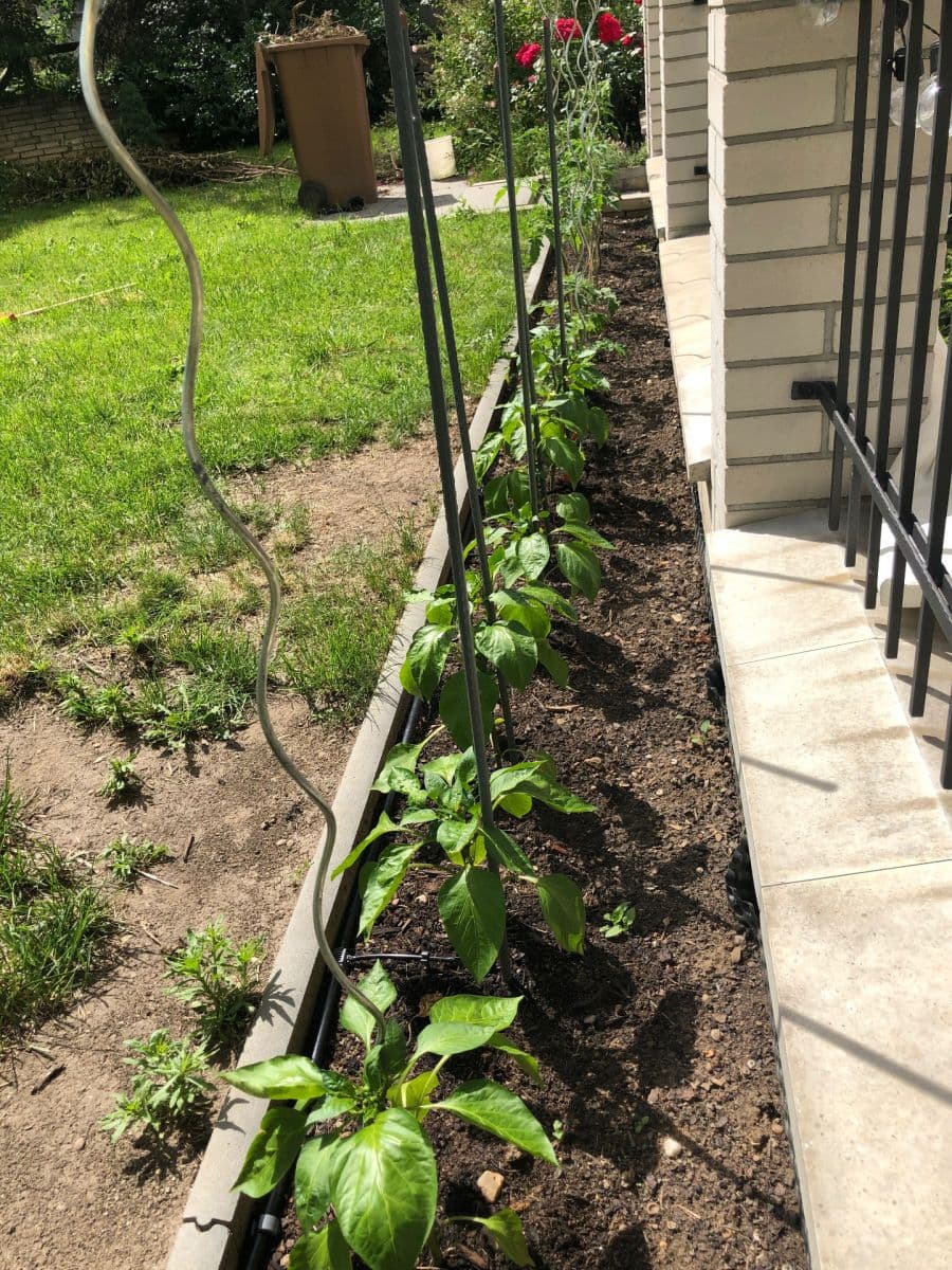 Predaj bytu 1-izbový 55 m², Kodaňská, Praha, Praha Predaj bytu 1-izbový 55 m², Kodaňská, Praha, Praha