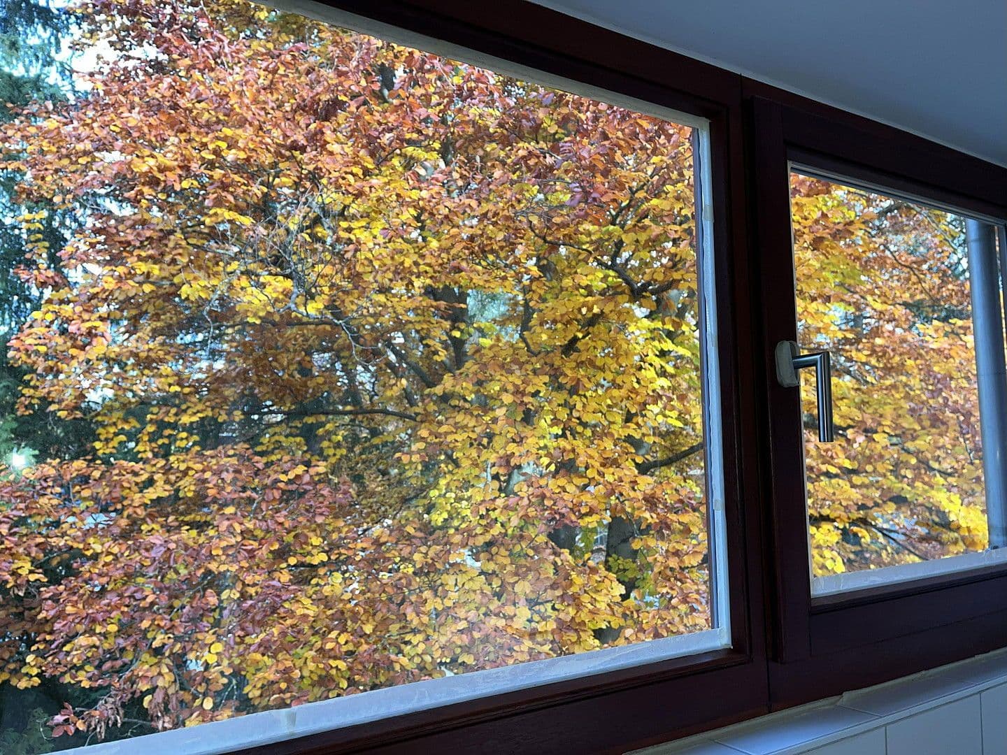 Prenájom bytu 3-izbový 72 m², München, Bavorsko Prenájom bytu 3-izbový 72 m², München, Bavorsko