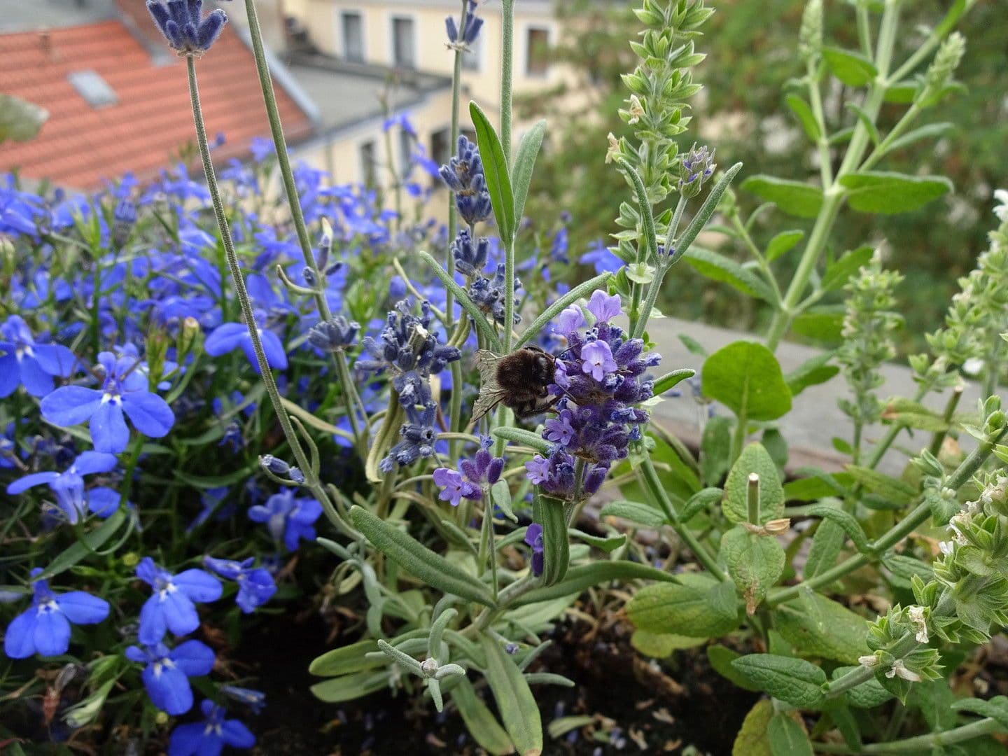 Predaj bytu 5-izbový 133 m², Berlin, Berlín Predaj bytu 5-izbový 133 m², Berlin, Berlín