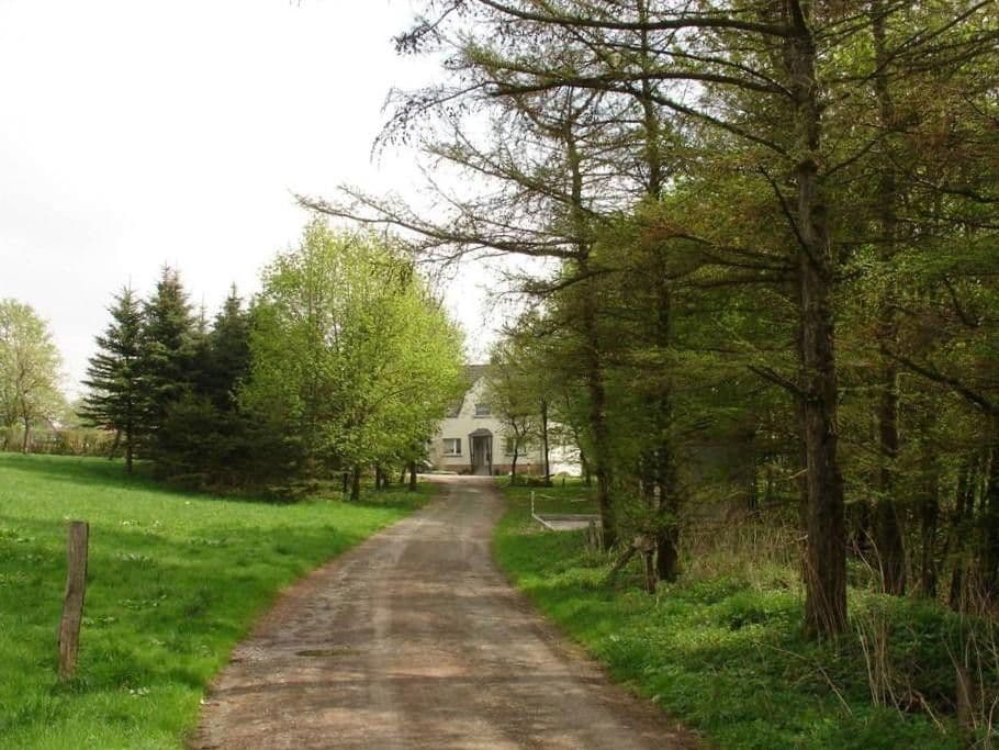 Predaj domu 145 m², pozemek 317 m², Bredelarer Straße 7, Brilon, Severné Porýnie - Westfálsko Predaj domu 145 m², pozemek 317 m², Bredelarer Straße 7, Brilon, Severné Porýnie - Westfálsko